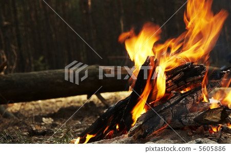 Campfire Campfire 5605886