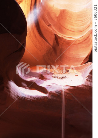 Antelope Antelope 5606321