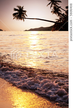 Tropical sunset Tropical sunset 5606408