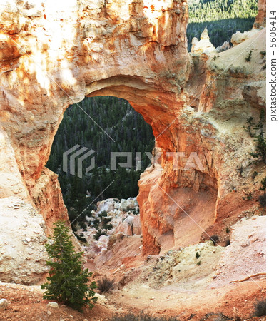 Bryce canyon Bryce canyon 5606414