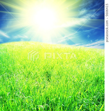Green field on sunny Green field on sunny 5606415