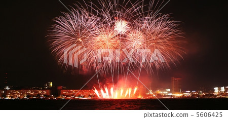 Firework_8 Firework_8 5606425