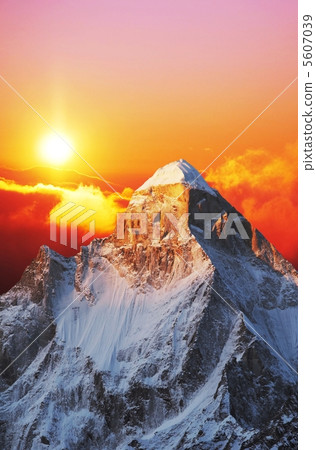 Shivling Shivling 5607039