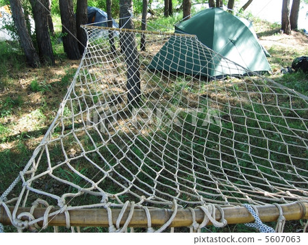 Camping in forest Camping in forest 5607063