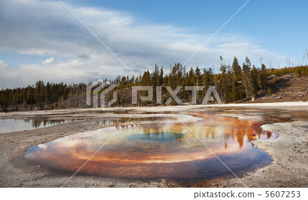 Yellowstone Yellowstone 5607253