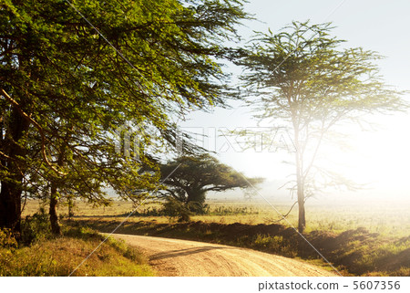 African landscapes African landscapes 5607356