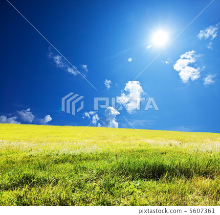 Grassland Grassland 5607361