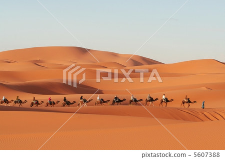 Sahara Sahara 5607388