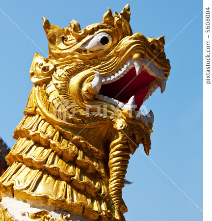 Dragon Dragon 5608004