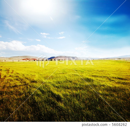Field and blue Field and blue 5608262