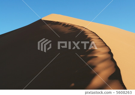 Sand dune Sand dune 5608263