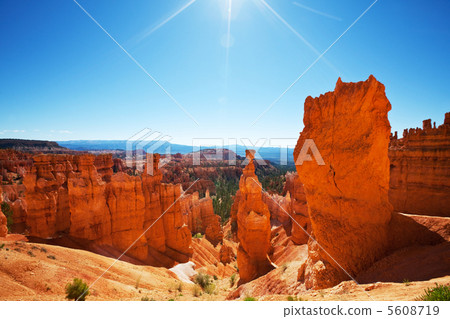Bryce Bryce 5608719