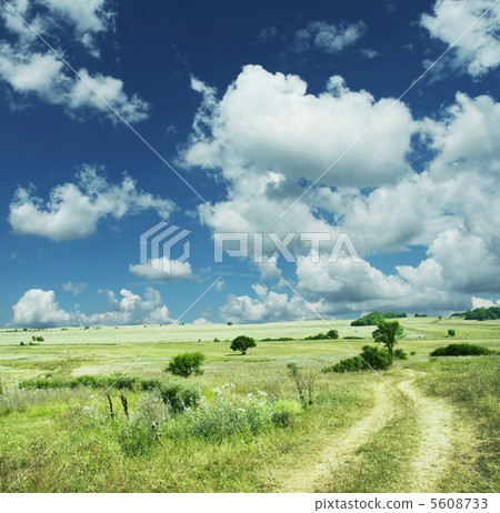 Grassland 5608733