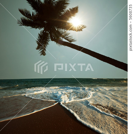 Sea sunset Sea sunset 5608735