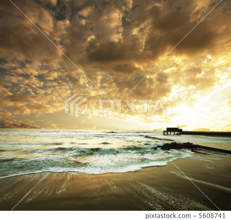 Sea Sea 5608741