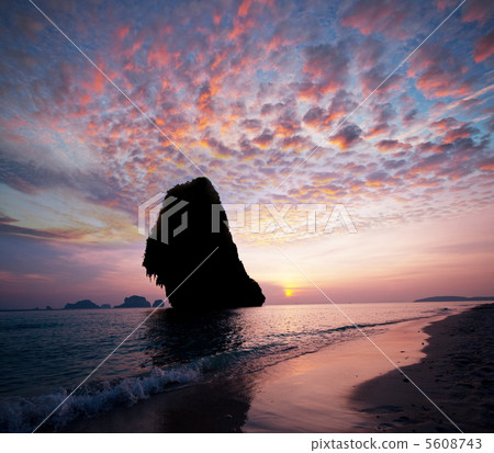 Tropical beach Tropical beach 5608743