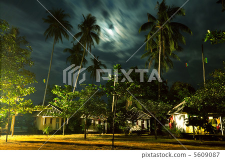 Night scene Night scene 5609087