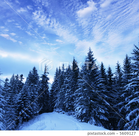 Winters Winters 5609127