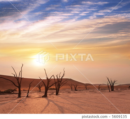 Namib Namib 5609135