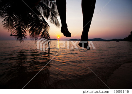 Tropical beach Tropical beach 5609146