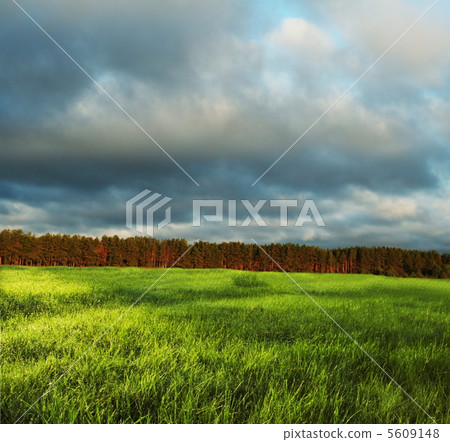 Field and clouds Field and clouds 5609148