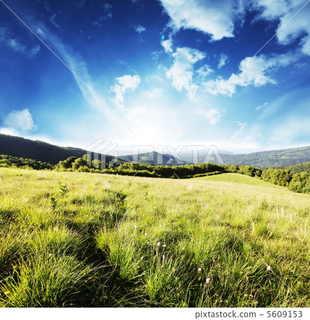 Grassland Grassland 5609153