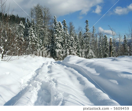 Winter road Winter road 5609459