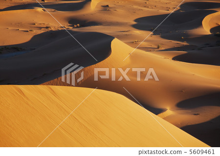 Desert 5609461