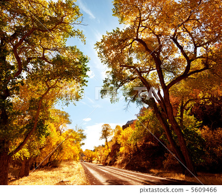 Autumn road Autumn road 5609466