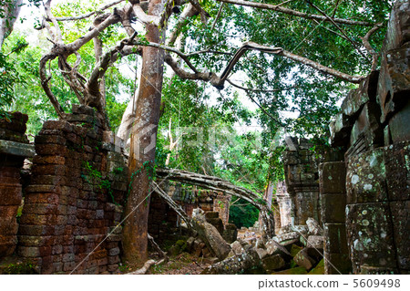 Angkor Angkor 5609498