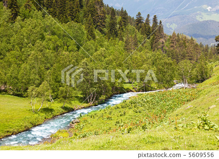 Mountain creek Mountain creek 5609556