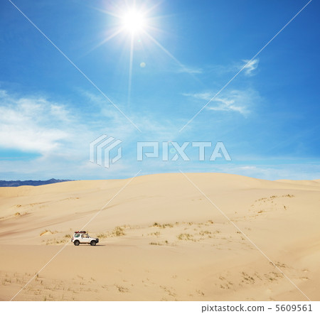 In desert In desert 5609561