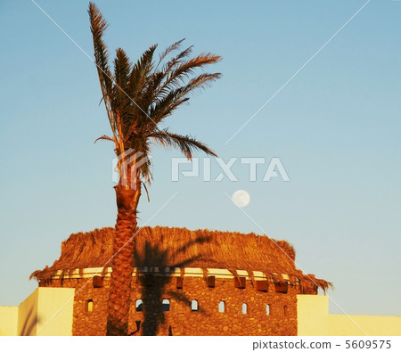 Egyptian moon Egyptian moon 5609575