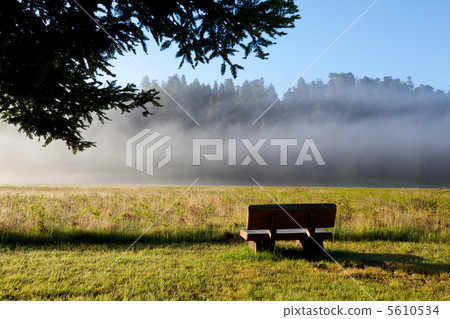 Summer meadow Summer meadow 5610534