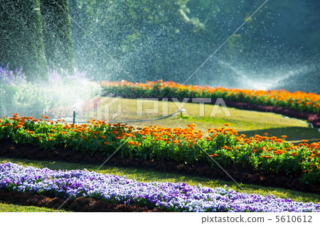 Garden 5610612
