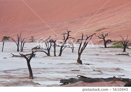 Dead valley Dead valley 5610943