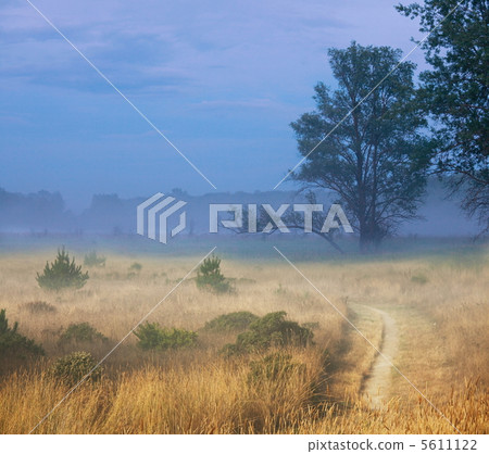 Fog on meadow Fog on meadow 5611122
