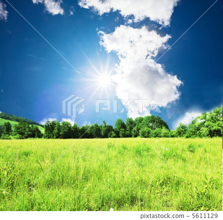 Field Field 5611129
