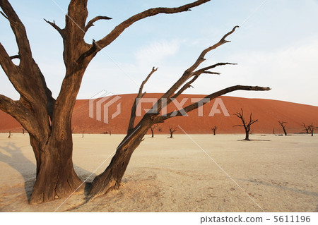 Namibia Namibia 5611196