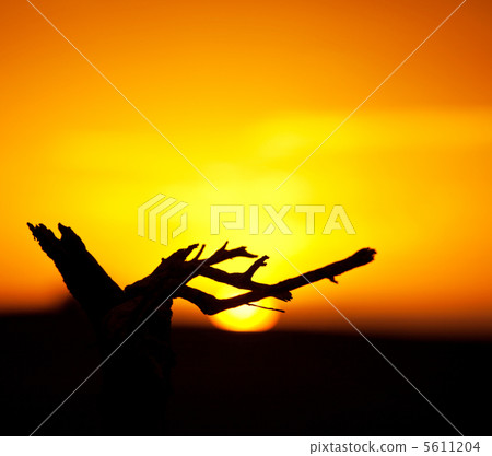 Sunset Sunset 5611204