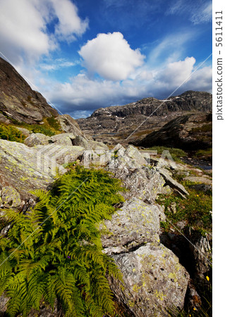 Norway landscapes 5611411