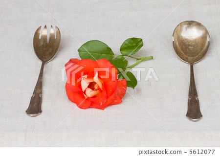 served antique cutlery - spoon and fork served antique cutlery - spoon and fork 5612077