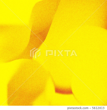 黃牆 5612813