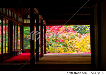 南禪寺的Tensenan 5612818