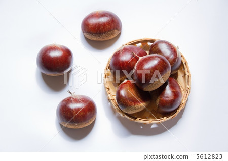 Chestnut fruit 5612823