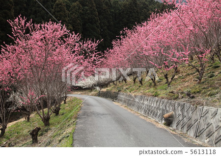 "Hometown of Hualorno · Ouchiizawa area" (Tokichiro village) at "Hometown of Hualorno · Ouchiizawa area" (Tokichiro village) at 5613118