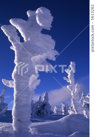 Dwarf-shaped rime in Zao Rime 5613262