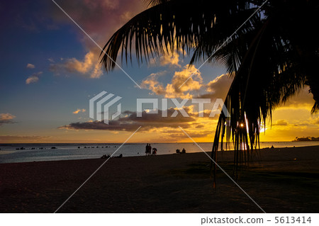 The sunset of Ala Moana 5613414