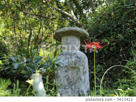 Tanno and Higanbana 5613422