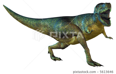 T-REX ☆ Tyrannosaurus 5613646